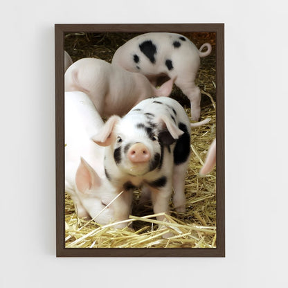 ap-pig-1 cadre Bois foncé