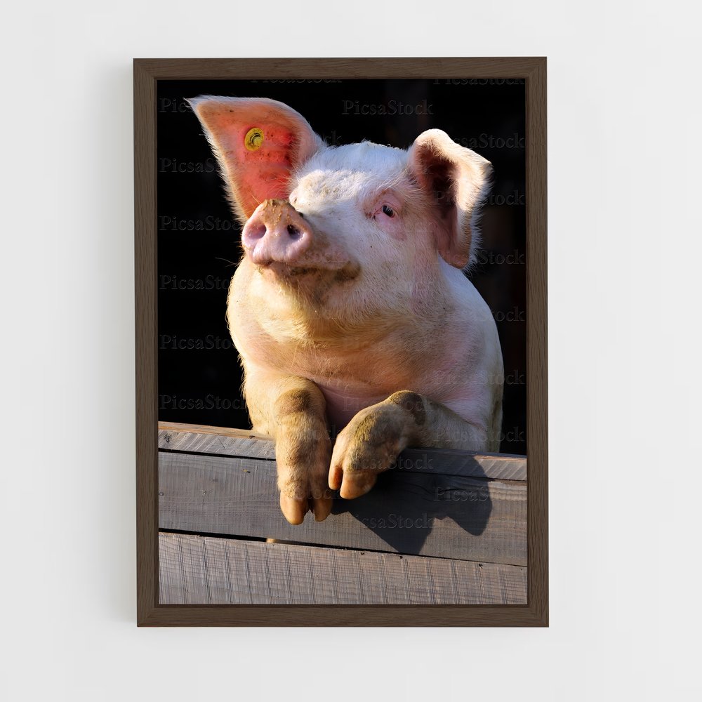 ap-pig-2 cadre Bois foncé