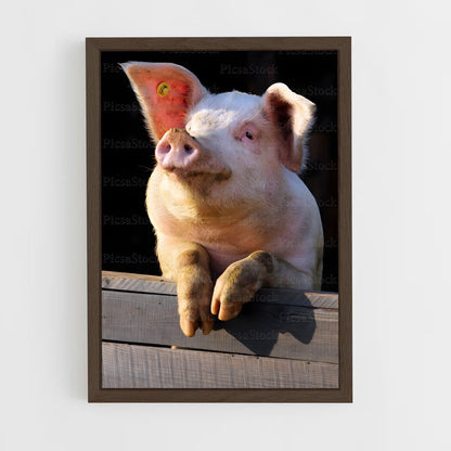 ap-pig-2 cadre Bois foncé
