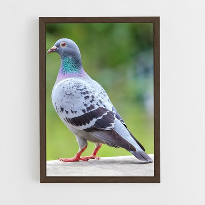 ap-pigeon-1 cadre Bois foncé