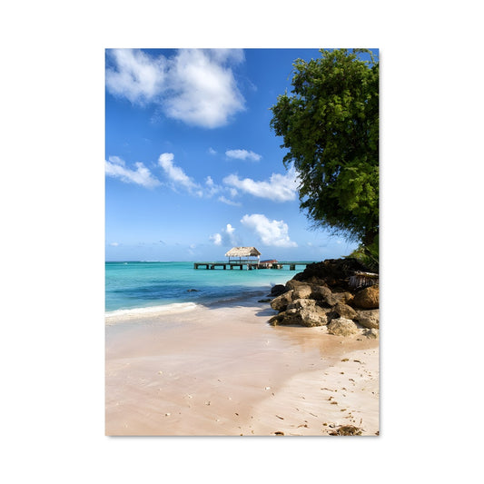 Poster Pigeon point 93113