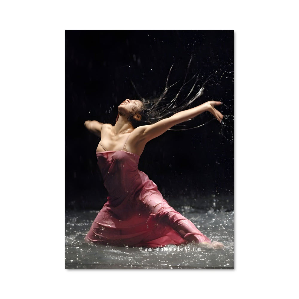 Poster Pina bausch 65849
