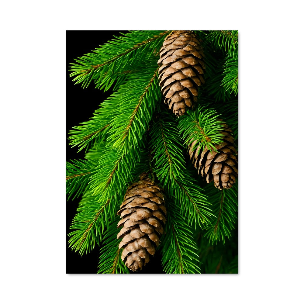 Poster Écorce et Pommes de Pin