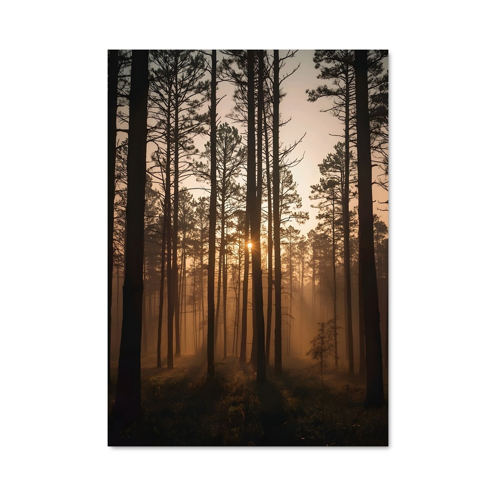 Poster Brume de la Forêt