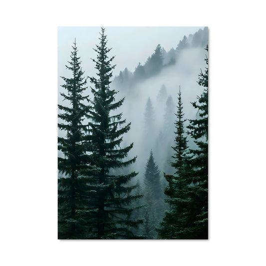 Poster Pine forest 94970