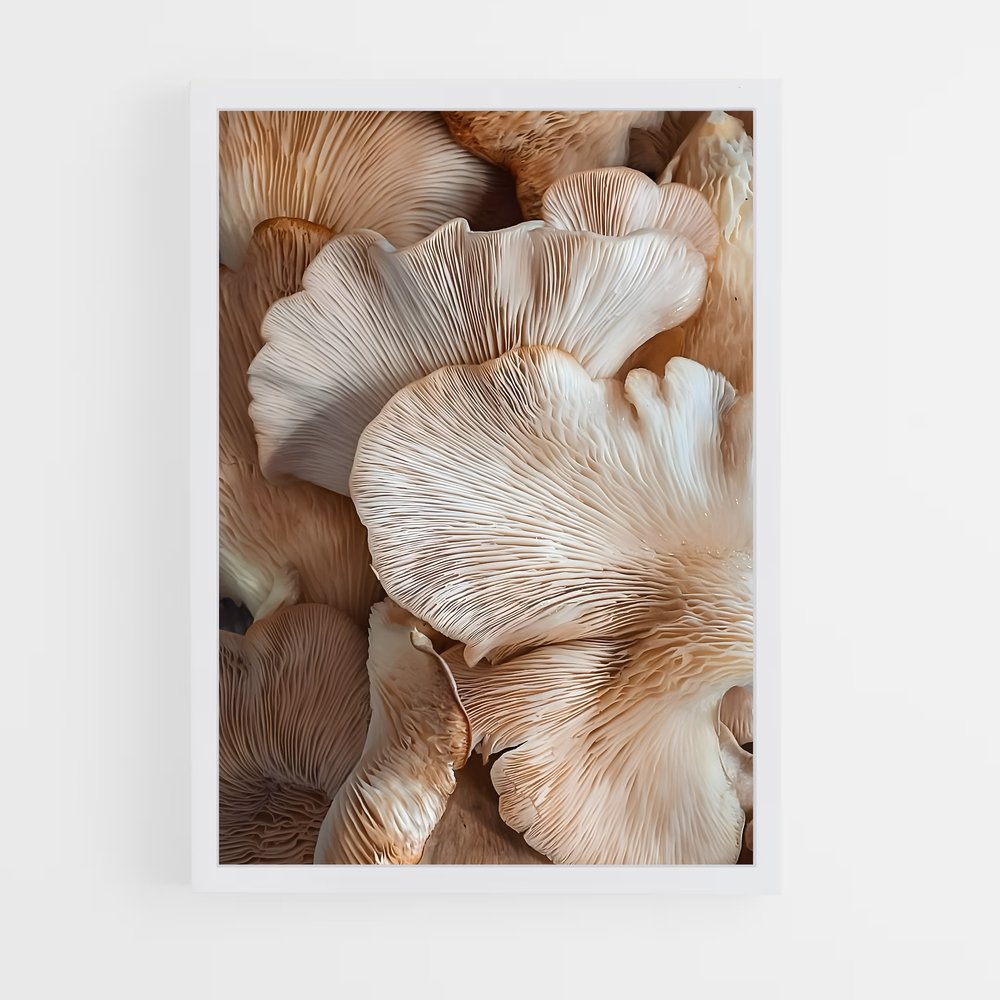 ap-pink oyster-1 cadre Blanc