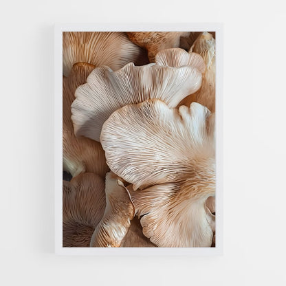 ap-pink oyster-1 cadre Blanc