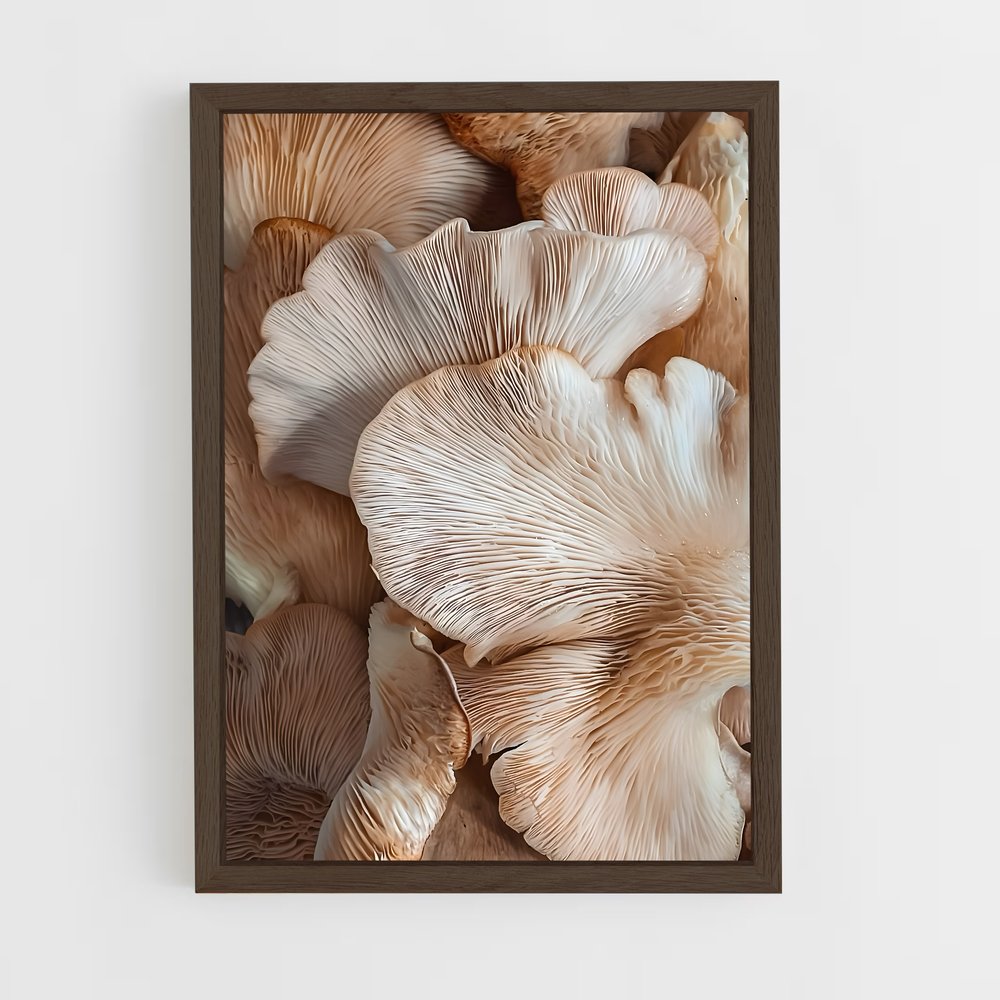 ap-pink oyster-1 cadre Bois foncé