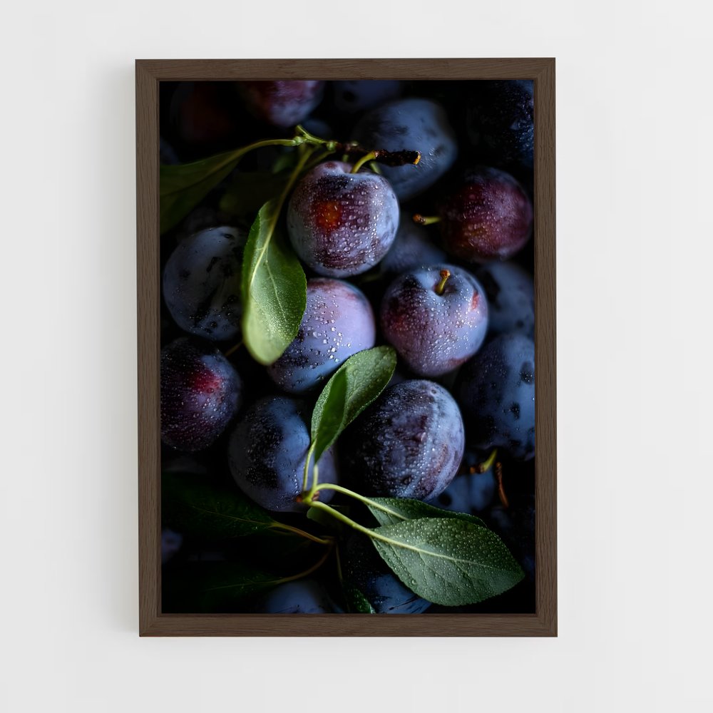ap-plum-11 cadre Bois foncé
