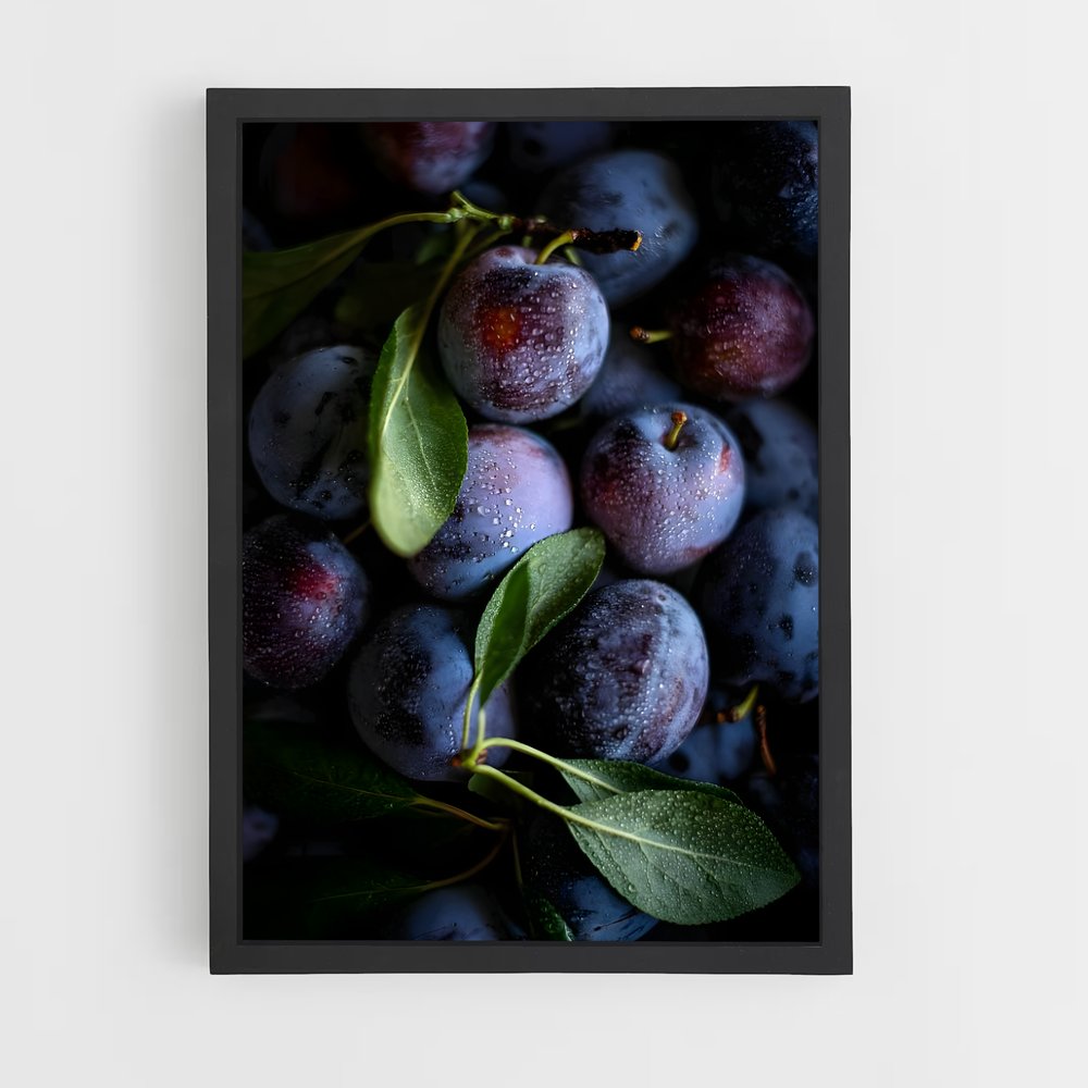 ap-plum-11 cadre Noir