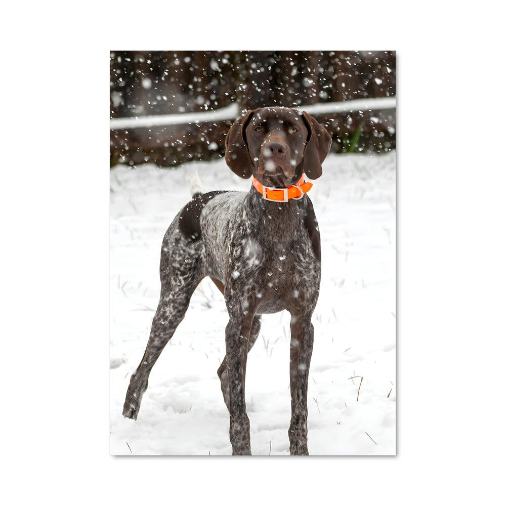 Poster Pointer 85027