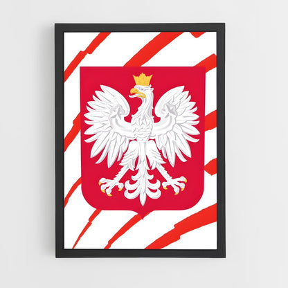 ap-poland national football team-1 cadre Noir
