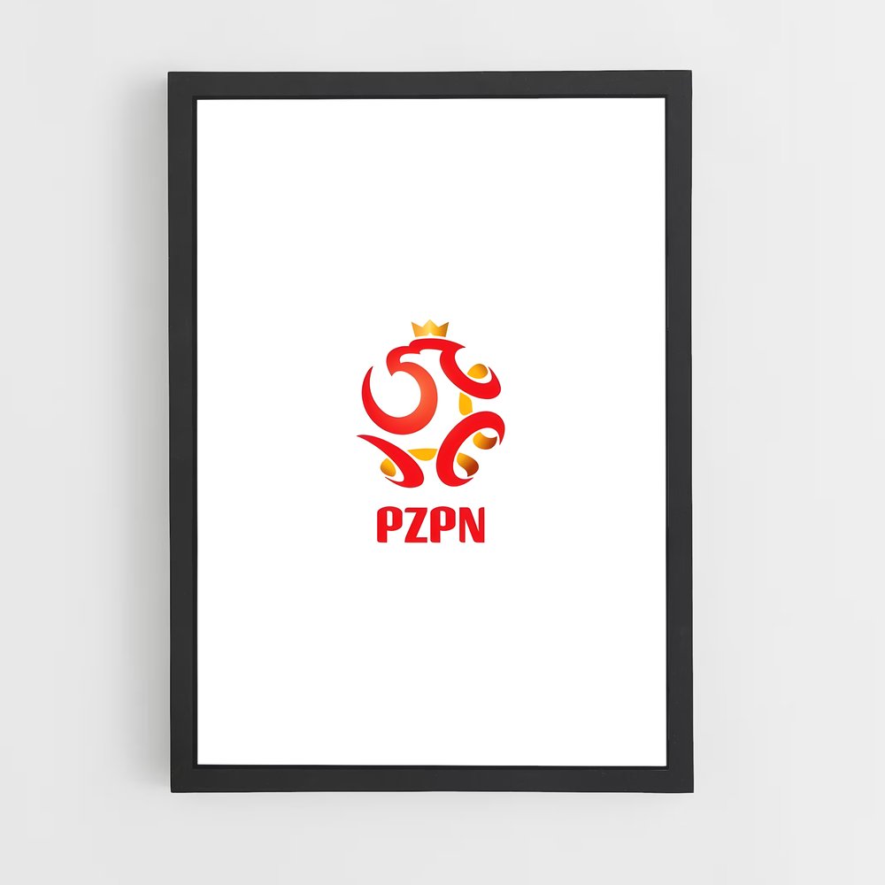 ap-poland national football team-4 cadre Noir