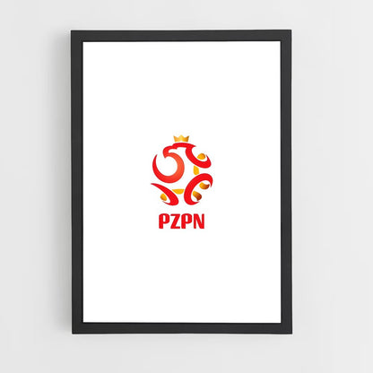 ap-poland national football team-4 cadre Noir