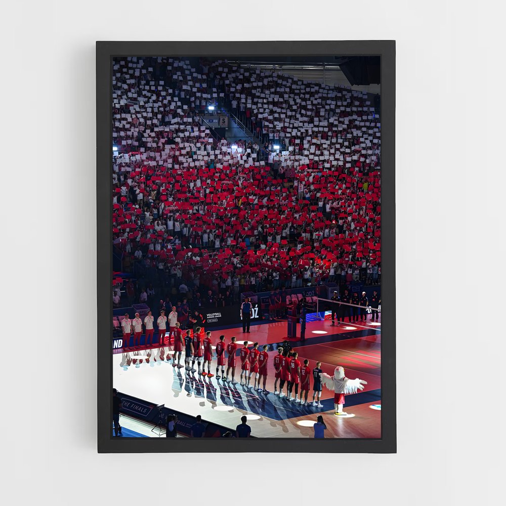 ap-poland national volleyball team-1 cadre Noir