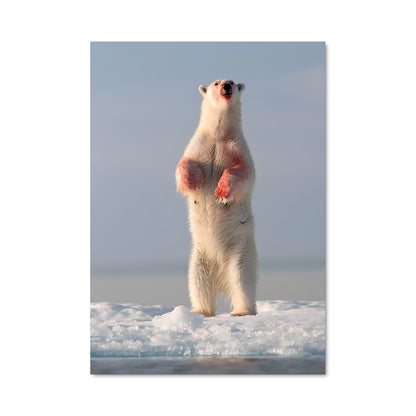 Poster Majesté des Glaces