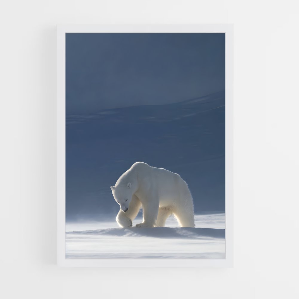 ap-polar bear-1 cadre Blanc