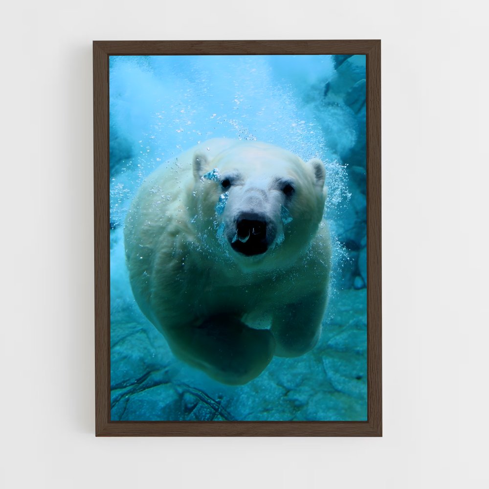 ap-polar bear-10 cadre Bois foncé