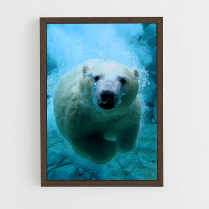 ap-polar bear-10 cadre Bois foncé