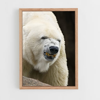 ap-polar bear-12 cadre Bois clair