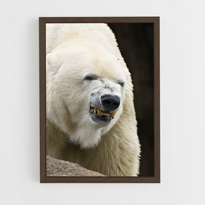 ap-polar bear-12 cadre Bois foncé
