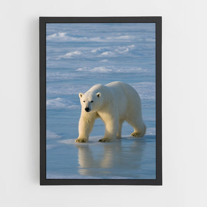 ap-polar bear-4 cadre Noir