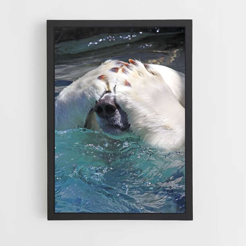 ap-polar bear-5 cadre Noir