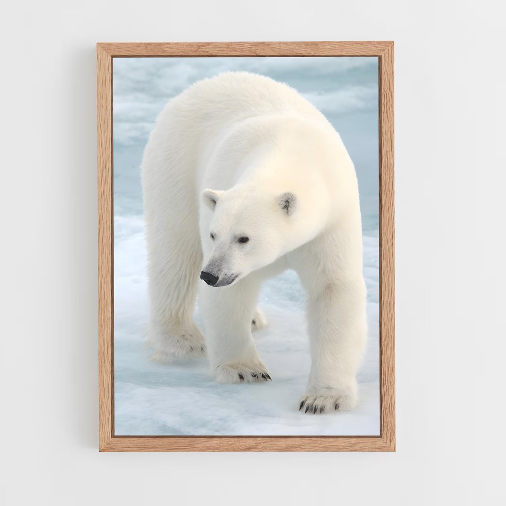 ap-polar bear-9 cadre Bois clair