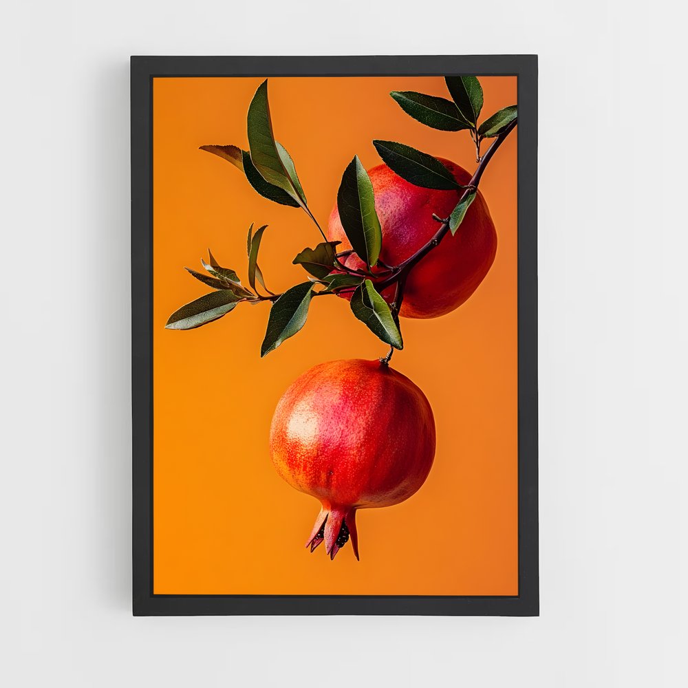 ap-pomegranate-14 cadre Noir