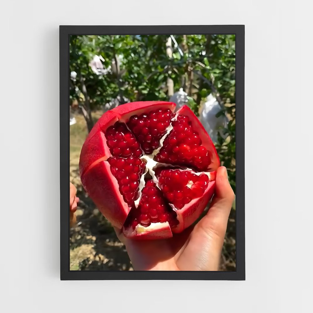 ap-pomegranate-8 cadre Noir