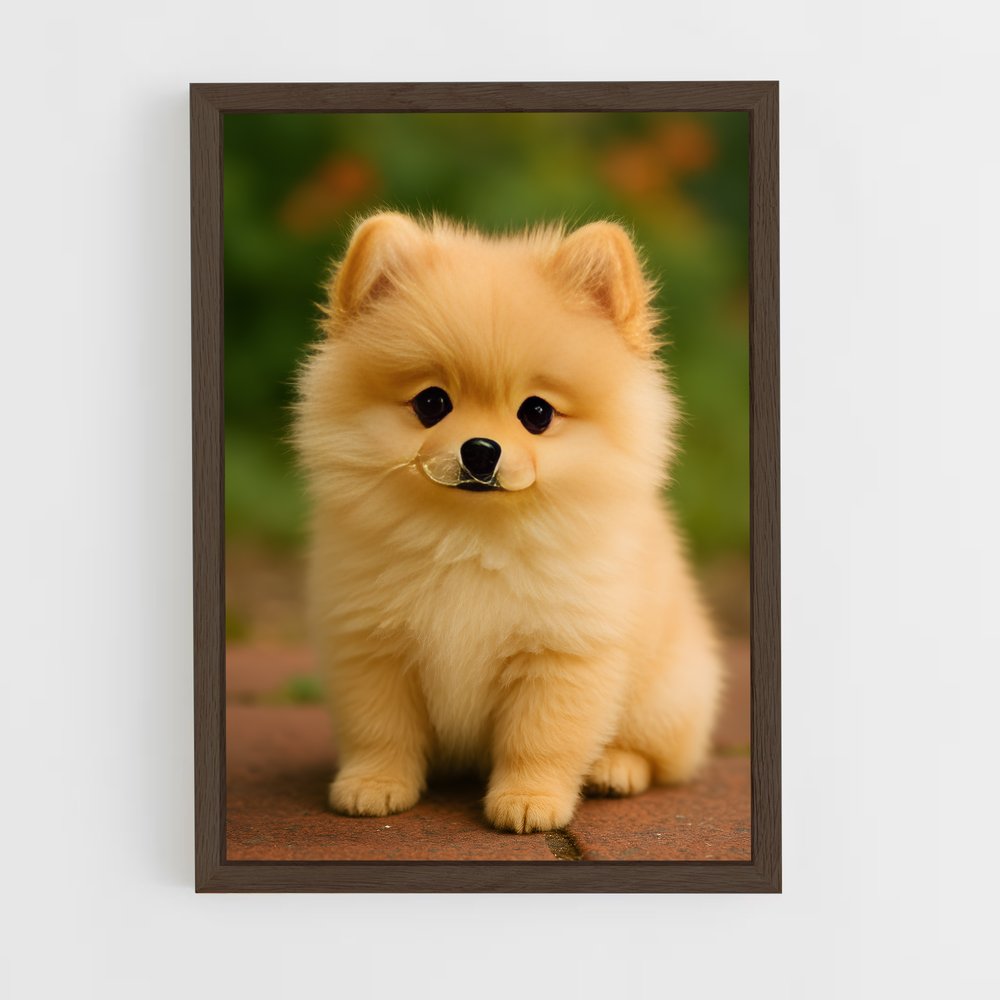 ap-pomeranian-2 cadre Bois foncé