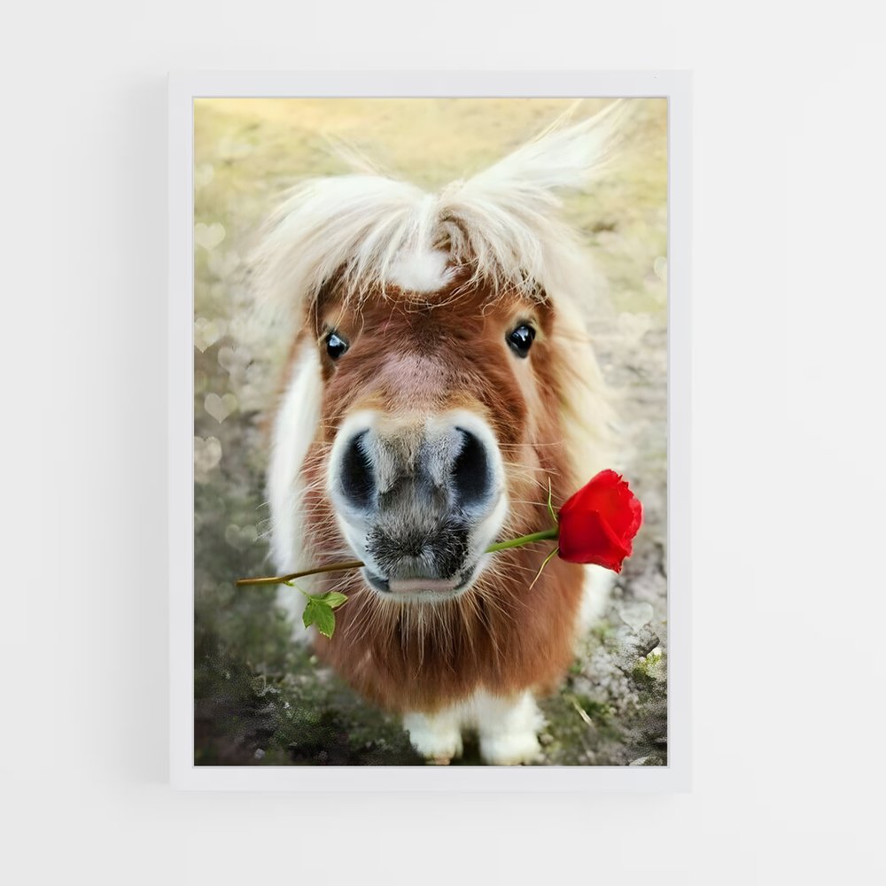 ap-pony-1 cadre Blanc