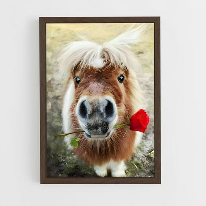 ap-pony-1 cadre Bois foncé