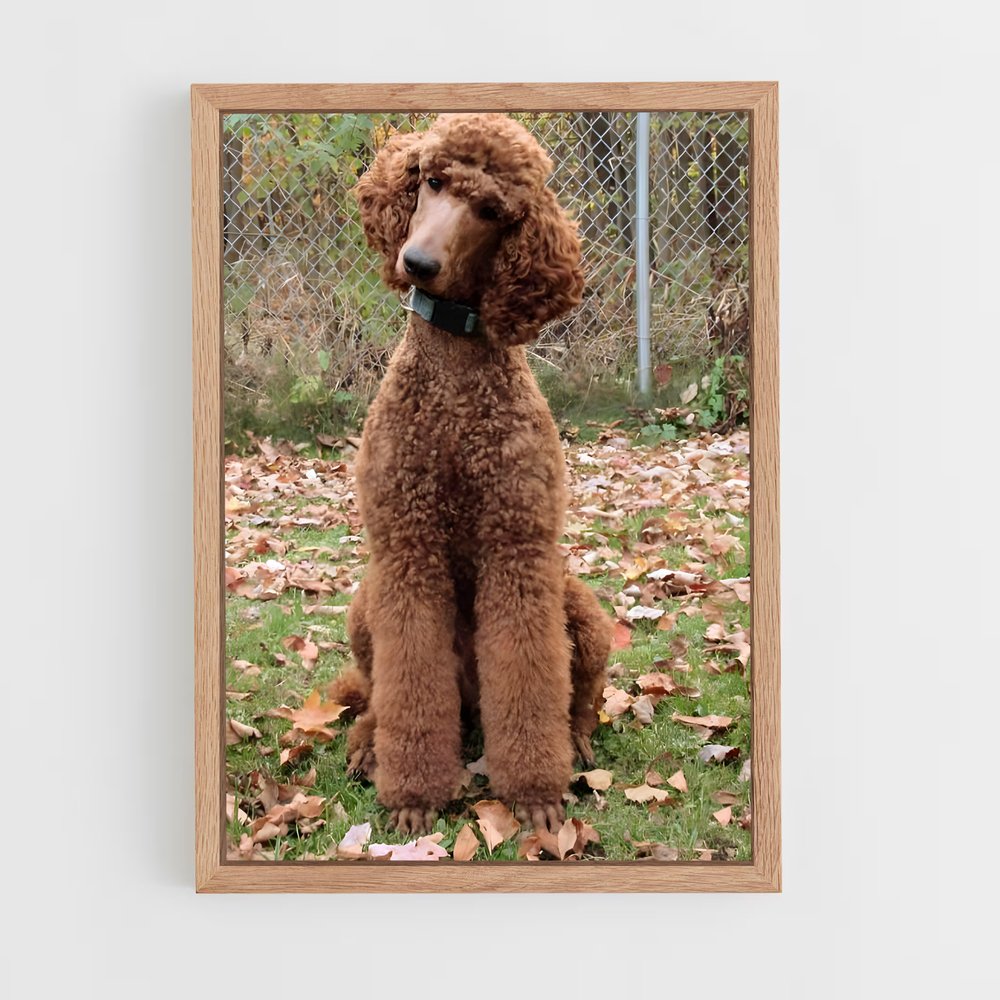ap-poodle-1 cadre Bois clair