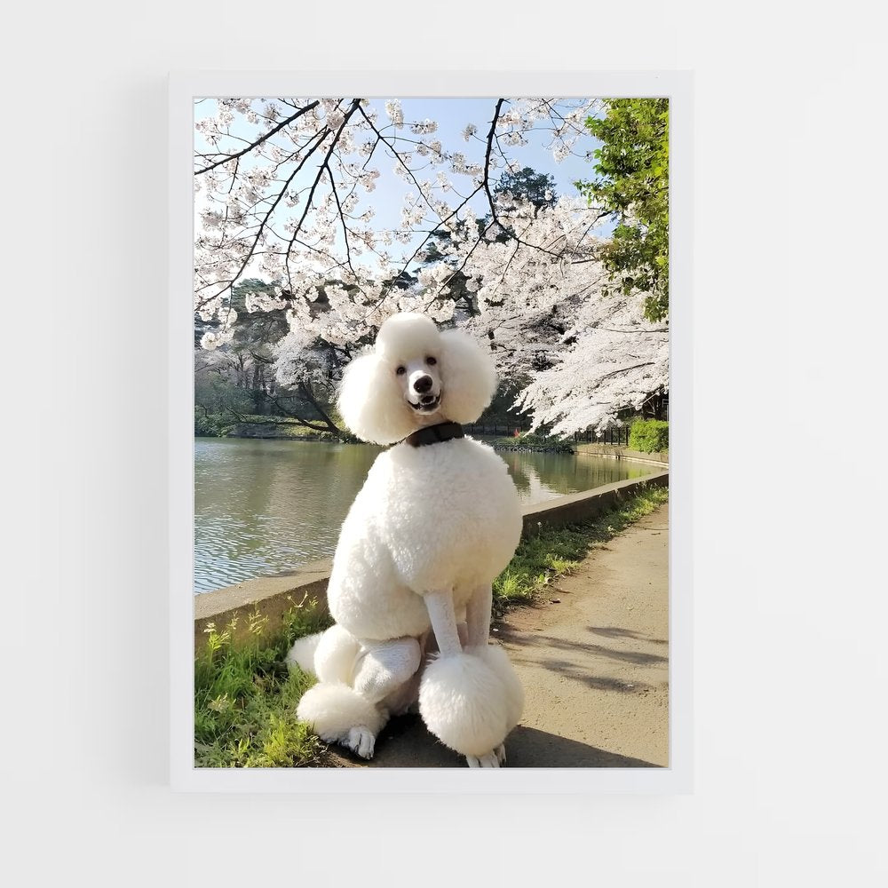 ap-poodle-2 cadre Blanc
