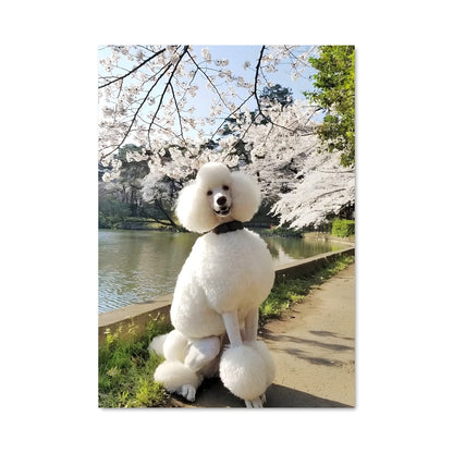 Poster Caniche au Bord du Lac