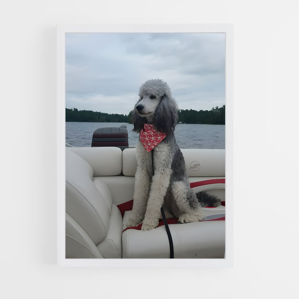 ap-poodle-3 cadre Blanc