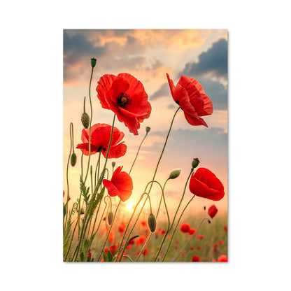 Poster Poppy Dream