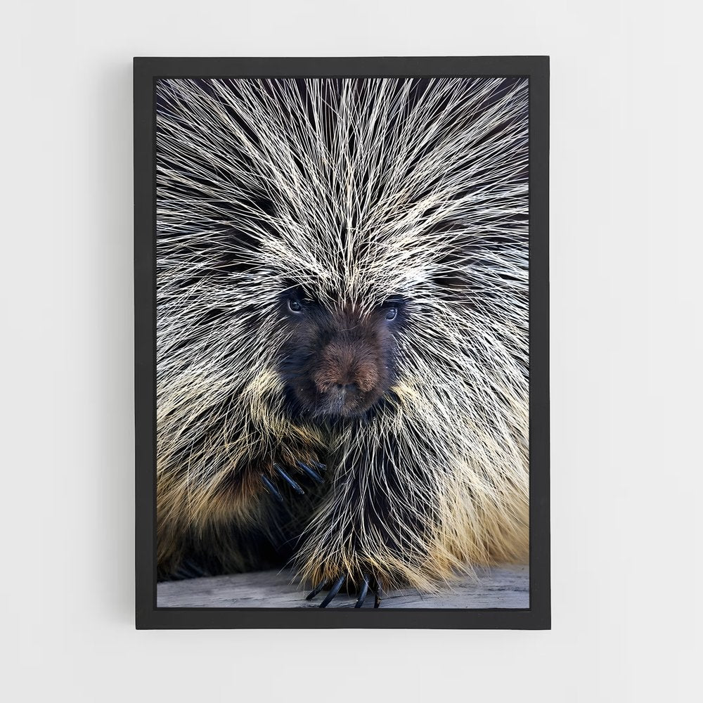 ap-porcupine-4 cadre Noir