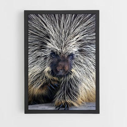 ap-porcupine-4 cadre Noir