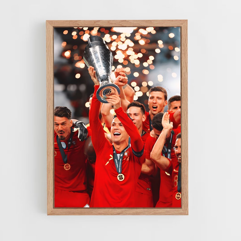 ap-portugal national football team-10 cadre Bois clair