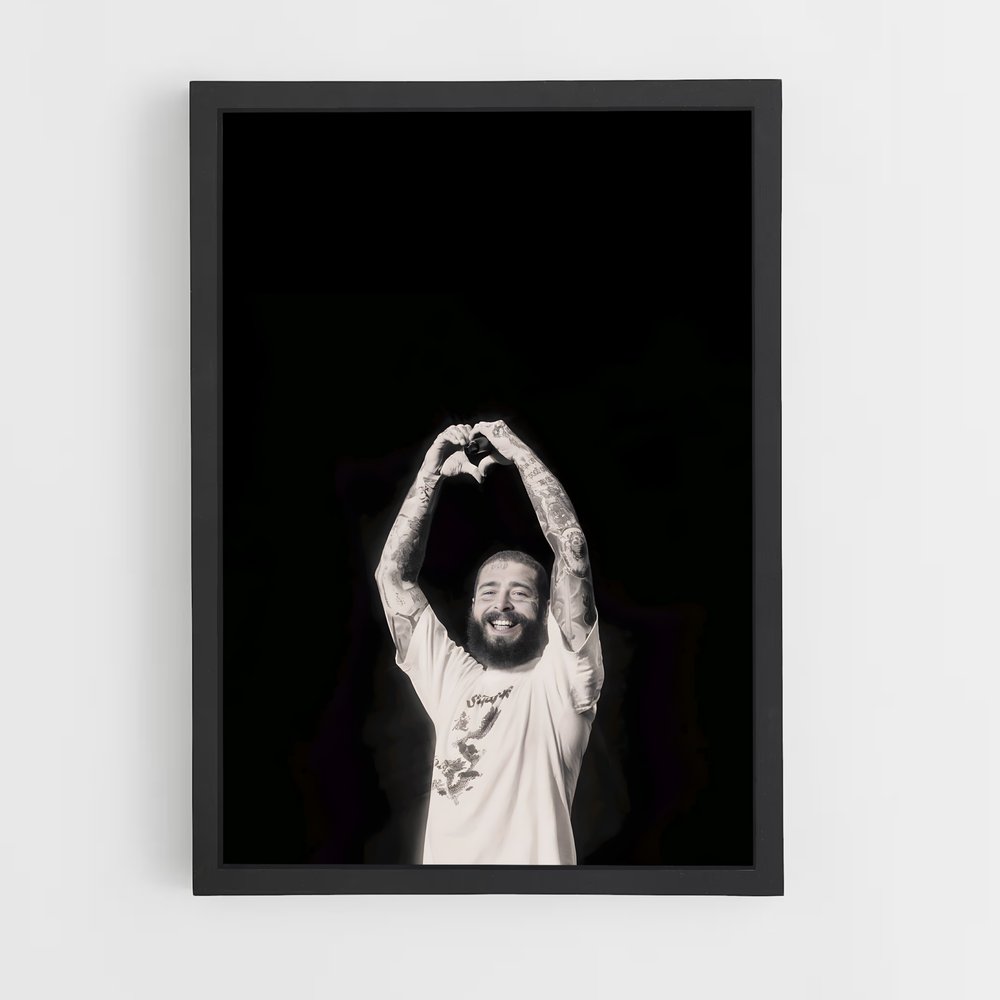ap-post malone-5 cadre Noir