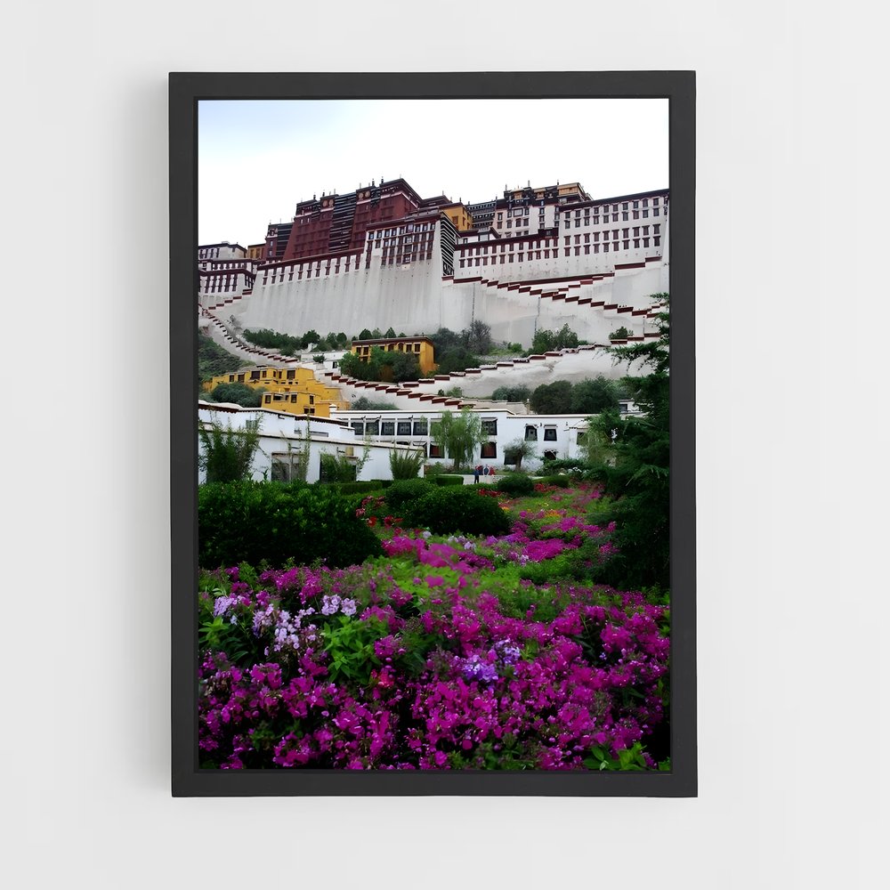 ap-potala palace-5 cadre Noir