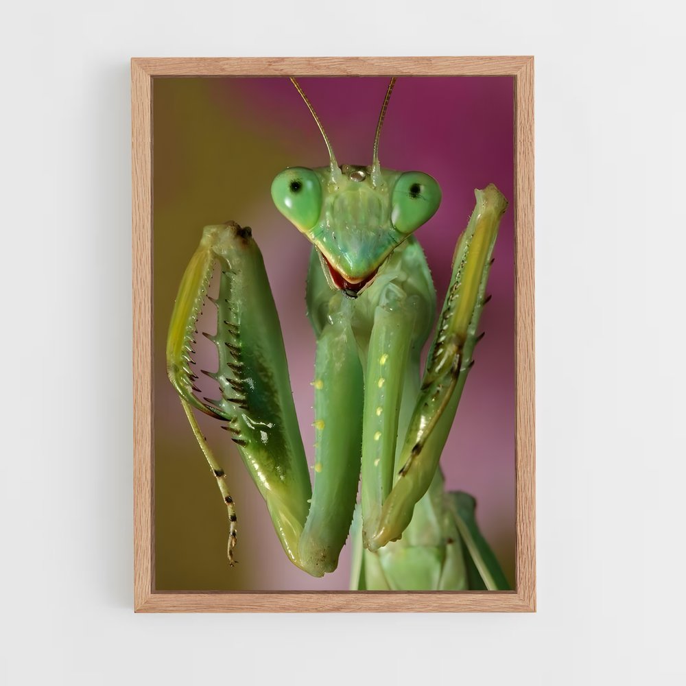 ap-praying mantis-2 cadre Bois clair