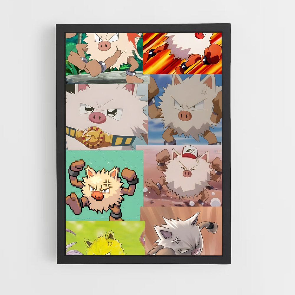ap-primeape-2 cadre Noir