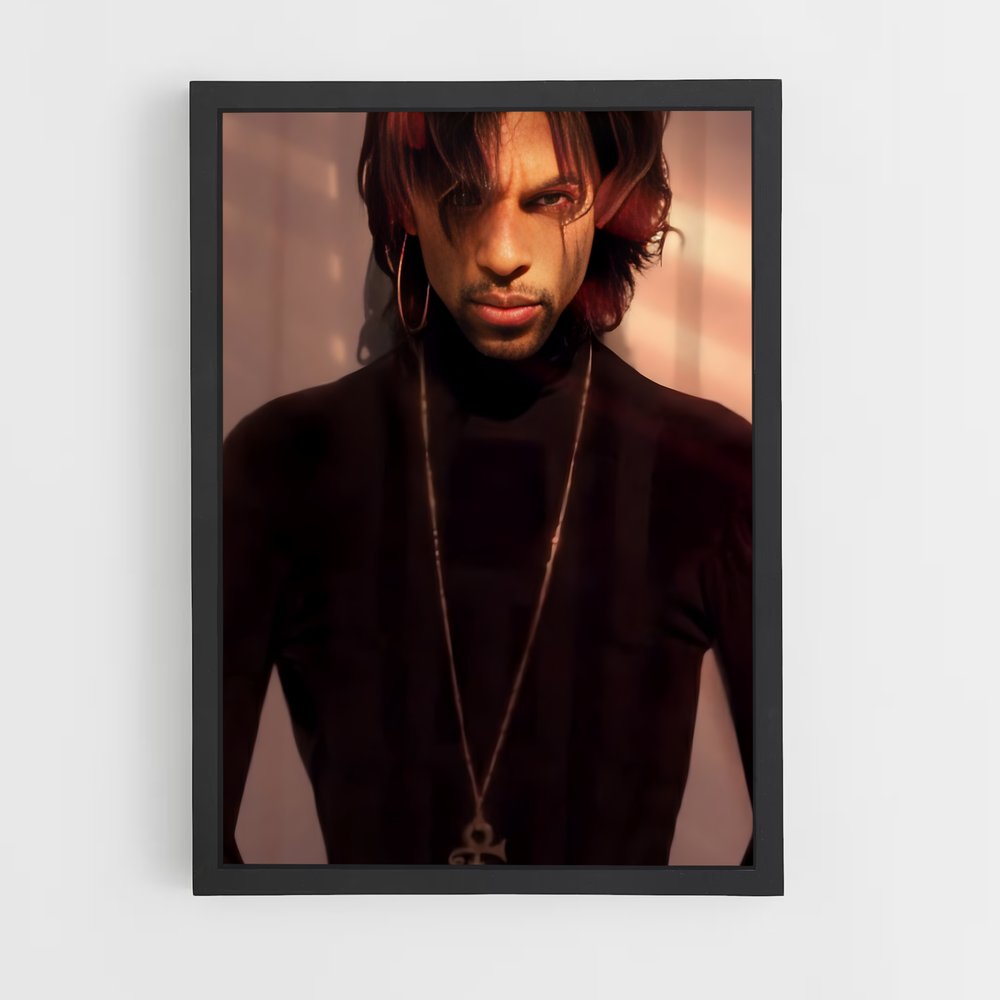 ap-prince-2 cadre Noir
