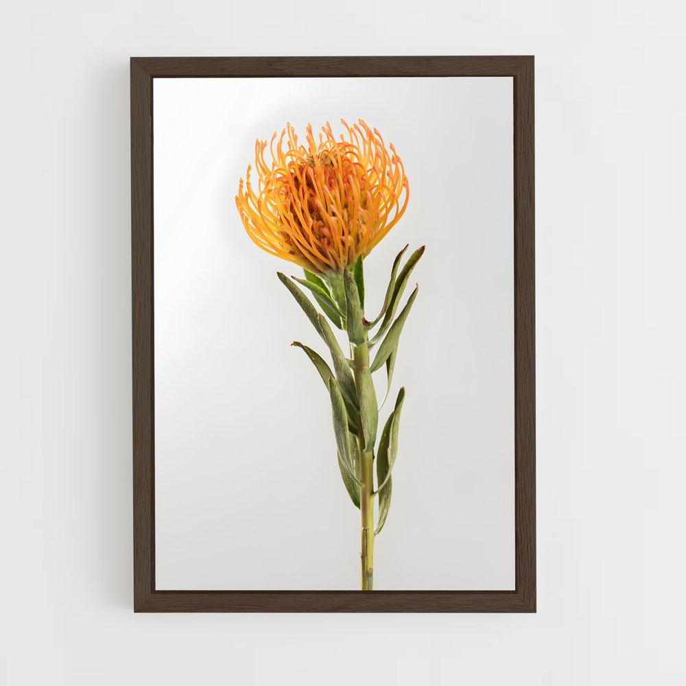 ap-protea-9 cadre Bois foncé