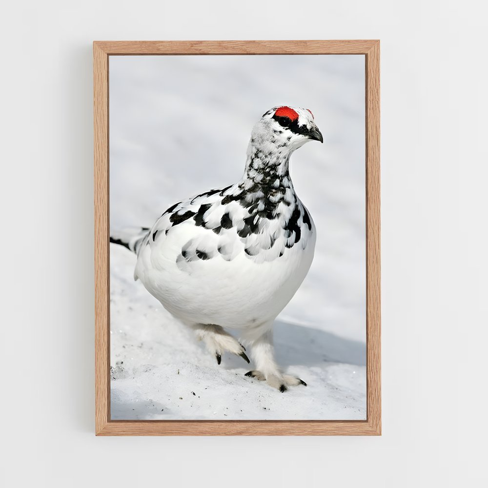 ap-ptarmigan-1 cadre Bois clair