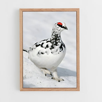 ap-ptarmigan-1 cadre Bois clair