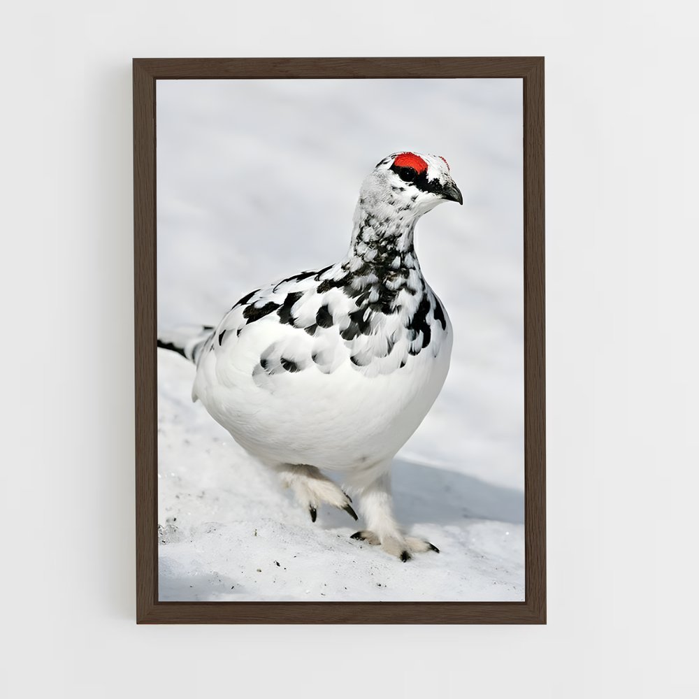 ap-ptarmigan-1 cadre Bois foncé